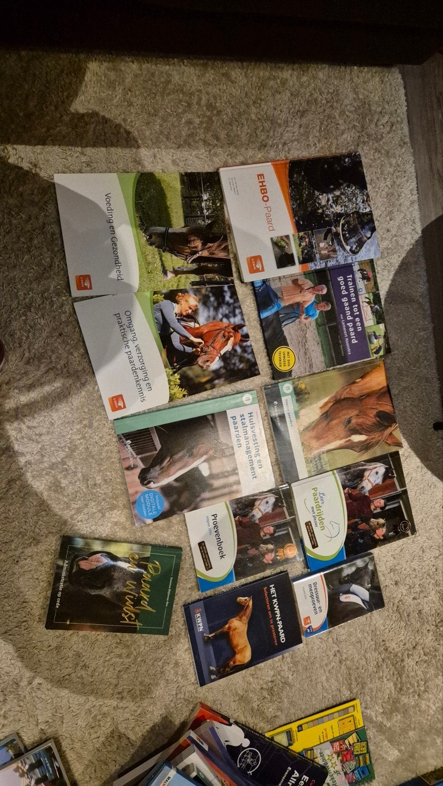 Studieboeken Bedrijfsleider paardensport en houderij, Boeken, Ophalen of Verzenden, Beta, Zo goed als nieuw