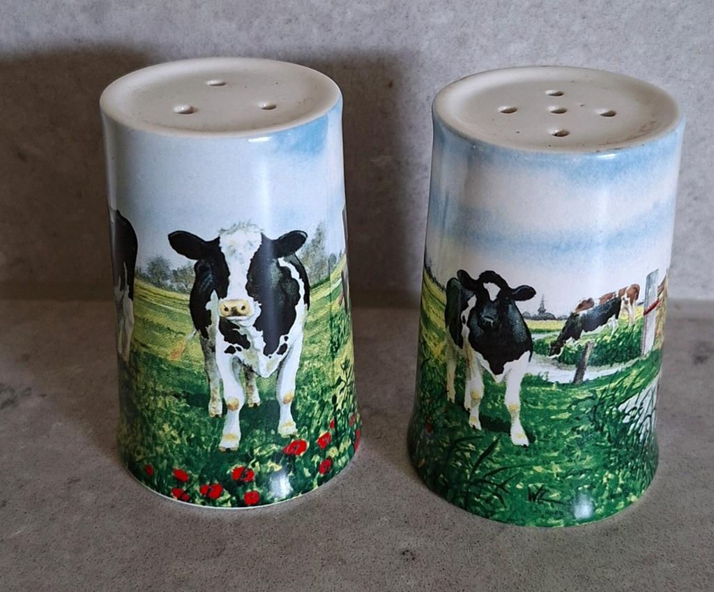 Wiebe van der Zee peper en zoutstel, Overige typen, Ophalen of Verzenden, Zo goed als nieuw, Overige stijlen