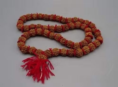 Authentieke Rudraksha-mala uit India – 54 kralen, Ophalen of Verzenden, Nieuw, Sieraad, Hindoeïsme