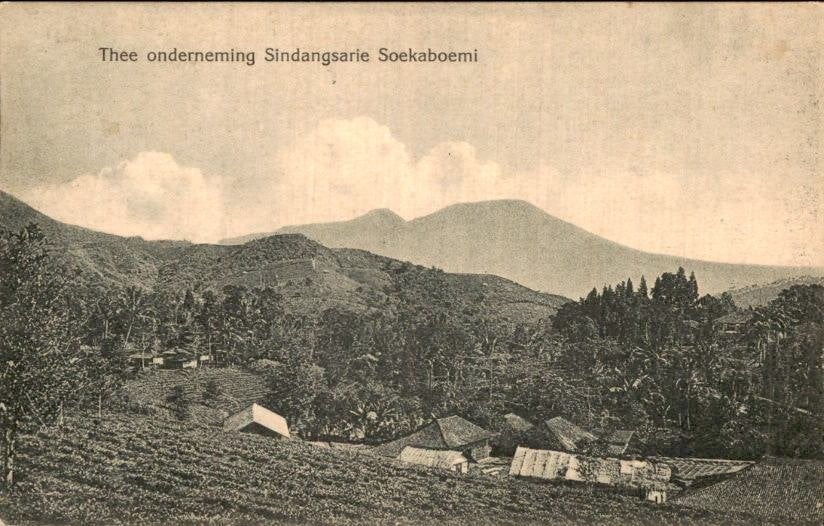 Nederlands Indië - Thee Onderneming - 1909, Verzenden, Voor 1920, Noord-Holland