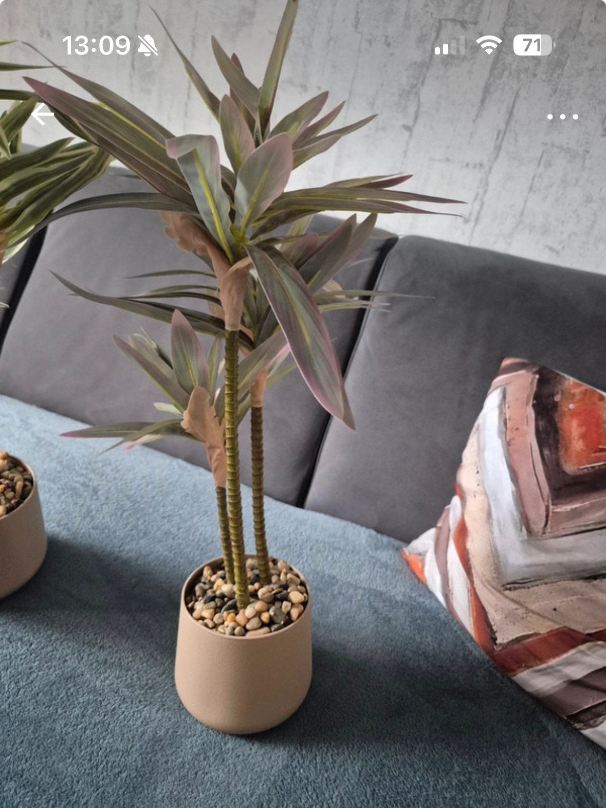Decoratie, Ophalen, Gebruikt