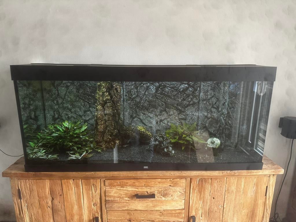 Juwel Aquarium 150x50x65, Ophalen, Gebruikt, Overige typen, Juwel