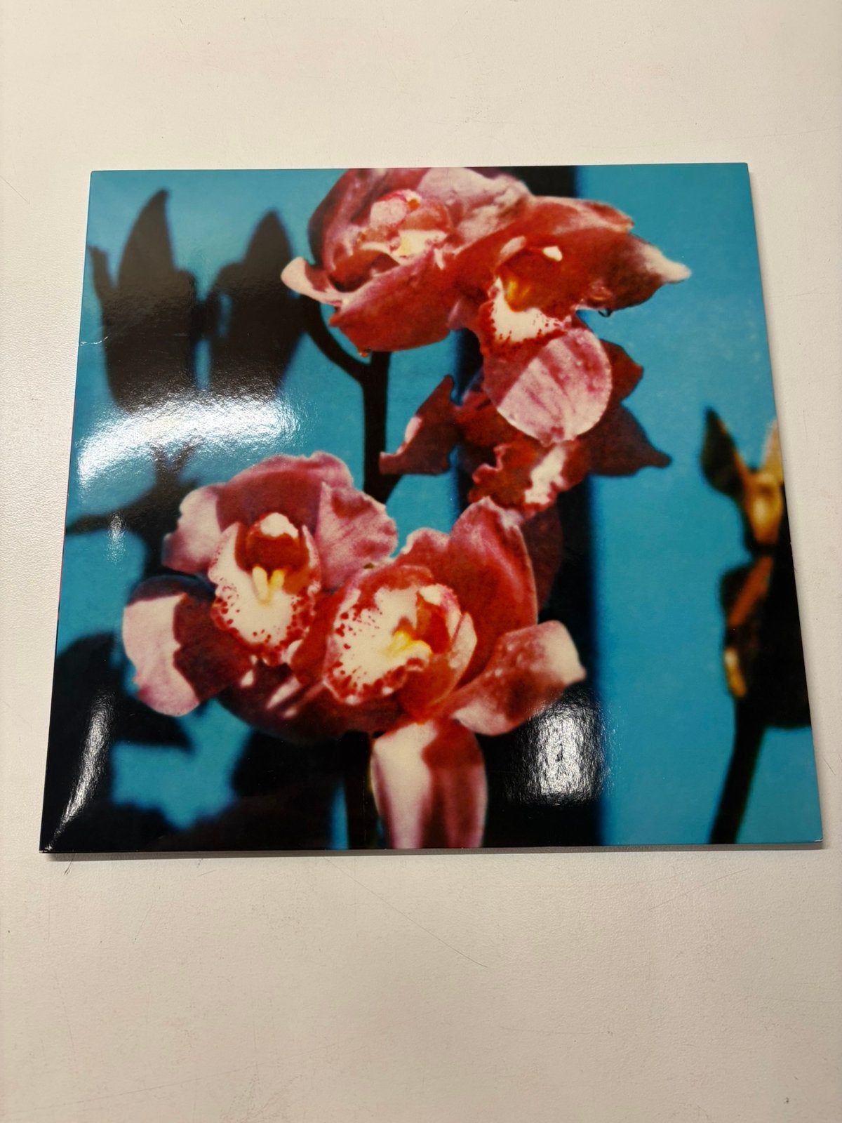 Inhaler Open wide speciale editie LP, LP, Overige genres, Limited edition, Ophalen of Verzenden