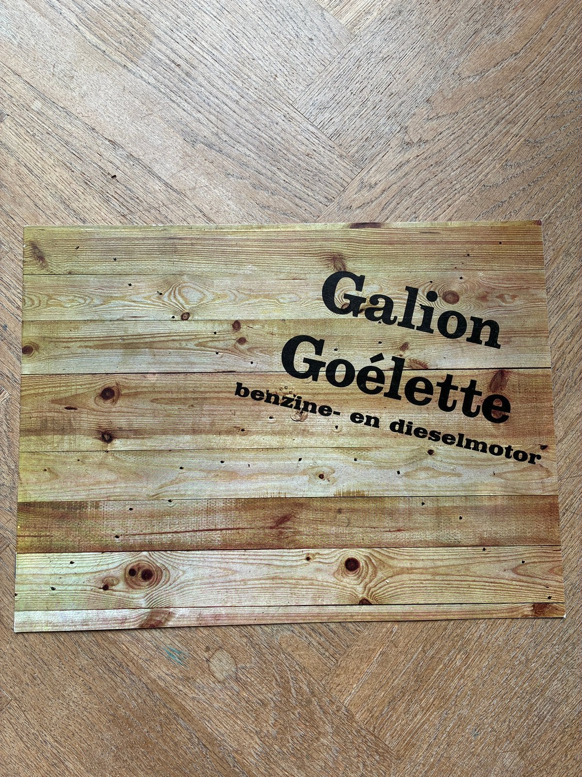 Renault Galion en Goélette brochure, Verzenden, Zo goed als nieuw, Renault