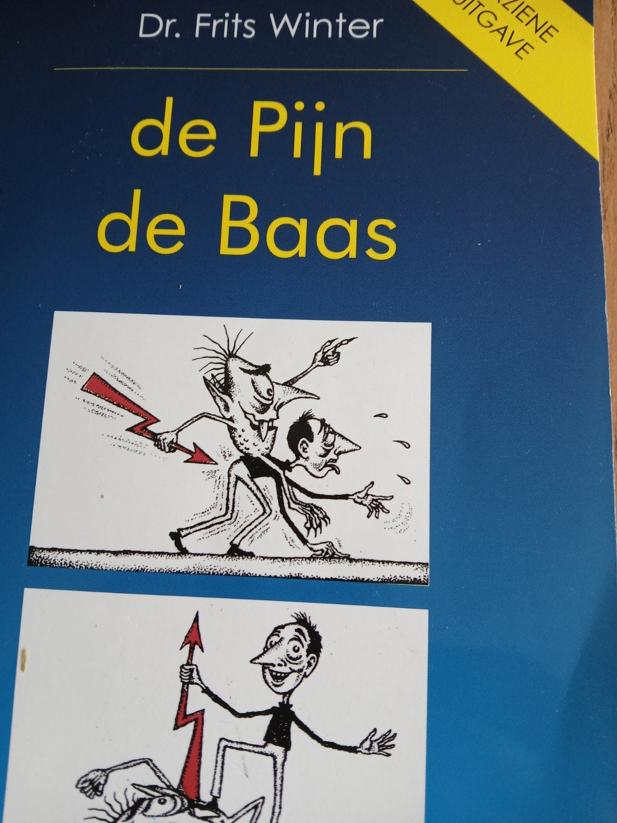 F. Winter - De pijn de baas, Boeken, Ophalen of Verzenden, Zo goed als nieuw, F. Winter