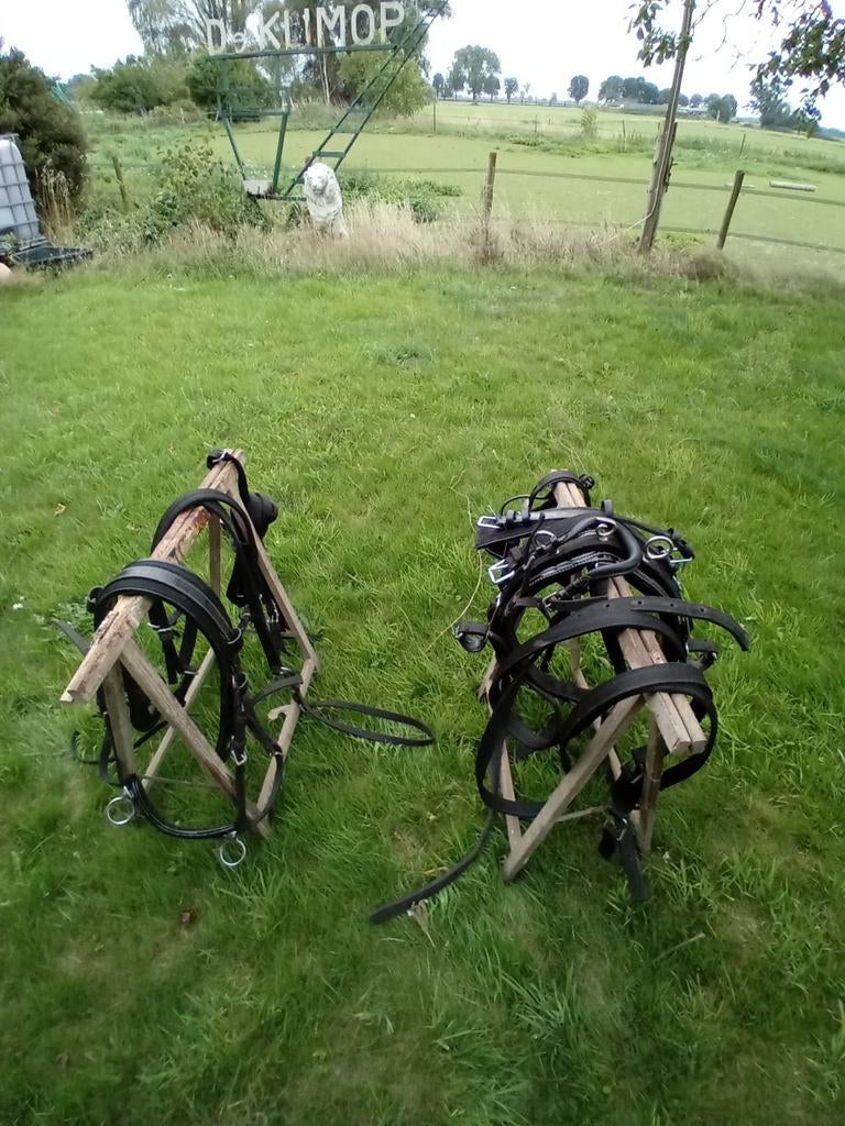 Mentuig enkelspan cop, Dieren en Toebehoren, Ophalen, Gebruikt, Overige soorten