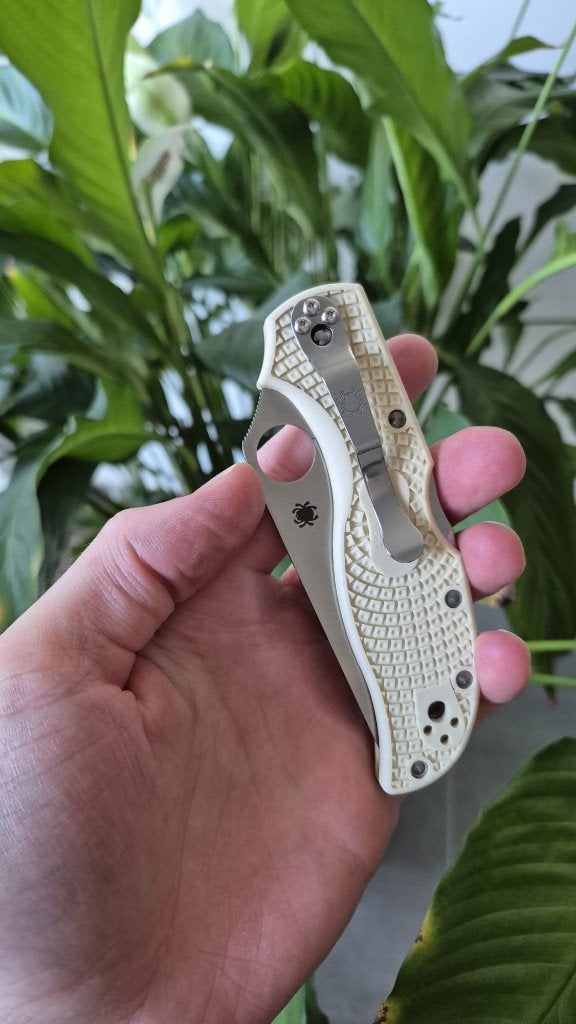 Spyderco Stretch 2 Ivory VG-10 Japan, Verzenden, Nieuw