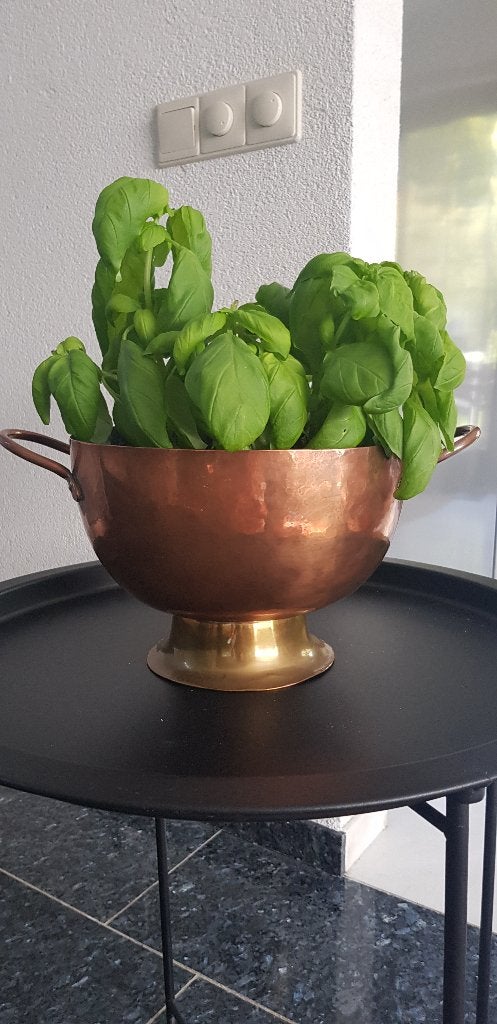 Roodkoperen (bloem) pot, Ophalen of Verzenden