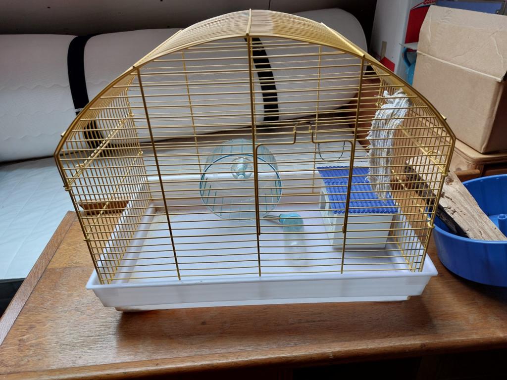 Hamsterkooi of vogelkooi, Dieren en Toebehoren, Ophalen, Gebruikt, Metaal, Vogelkooi