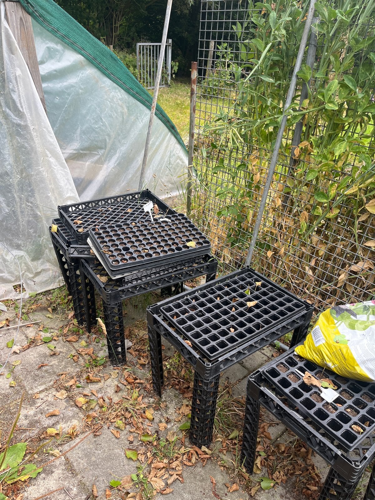 Kweekbakken en kweektafels voor planten, Tuin en Terras, Kweekspullen, Ophalen, Gebruikt, Kweekbak