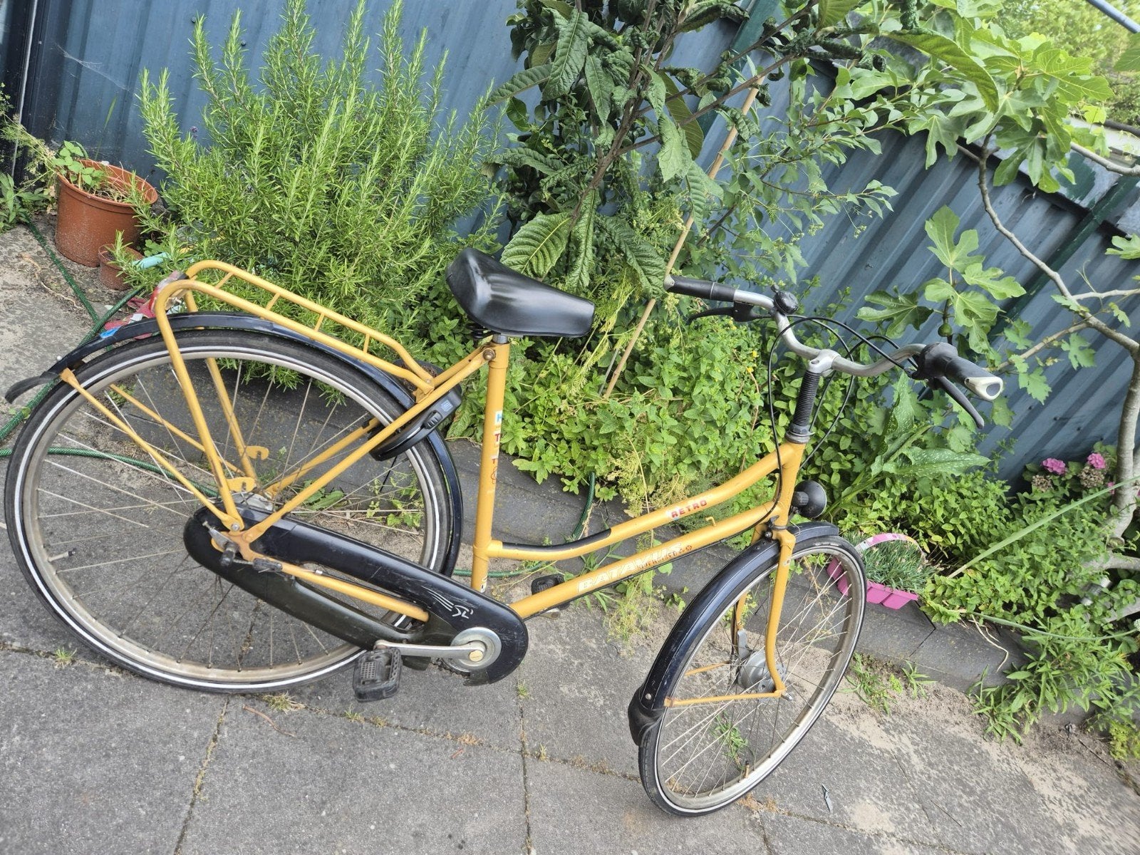 Batavus Retro damesfiets - Geel, Ophalen, Terugtraprem, Batavus, 53 tot 56 cm