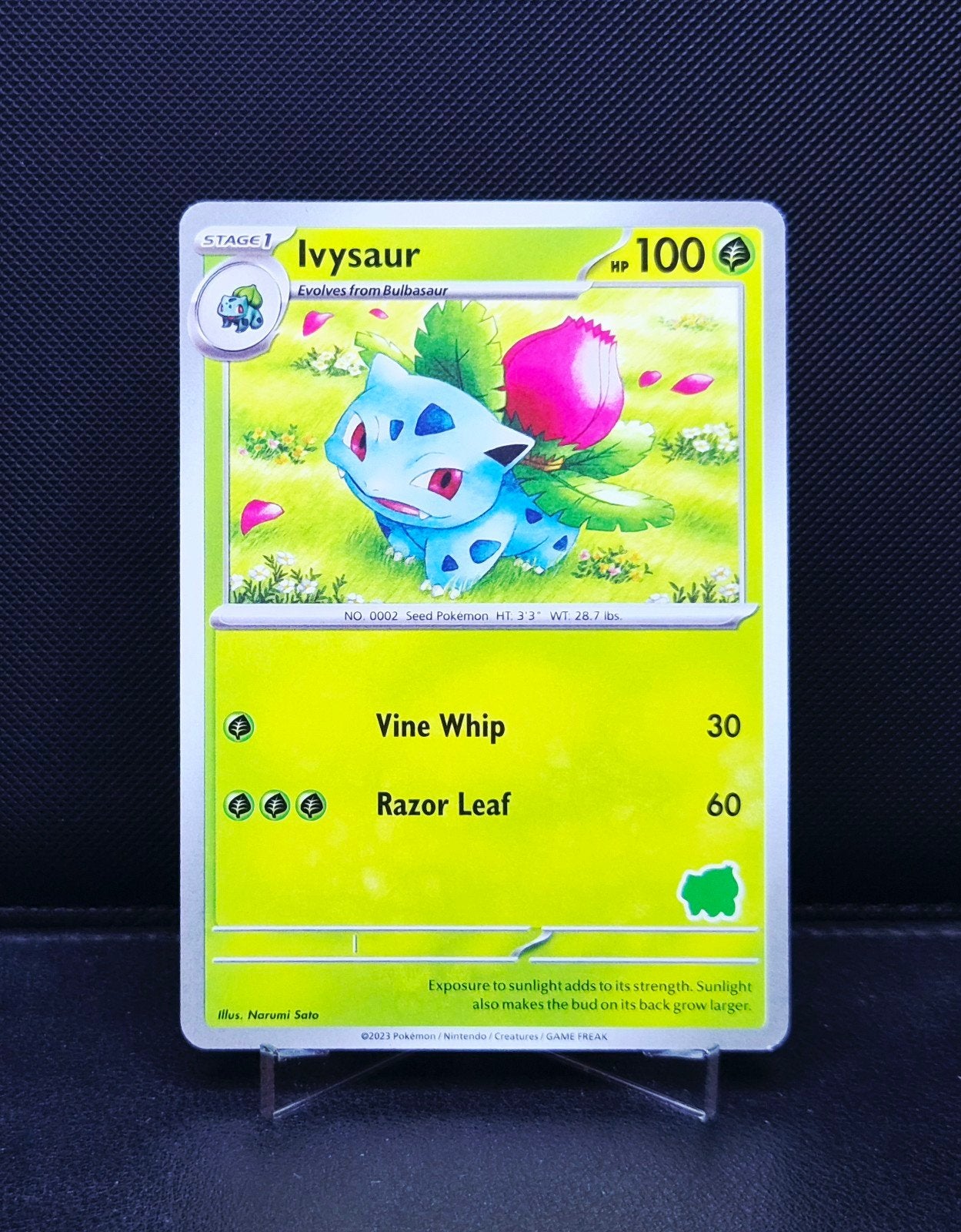 Ivysaur My First Battle Engels 2023 NM, Ophalen of Verzenden, Zo goed als nieuw