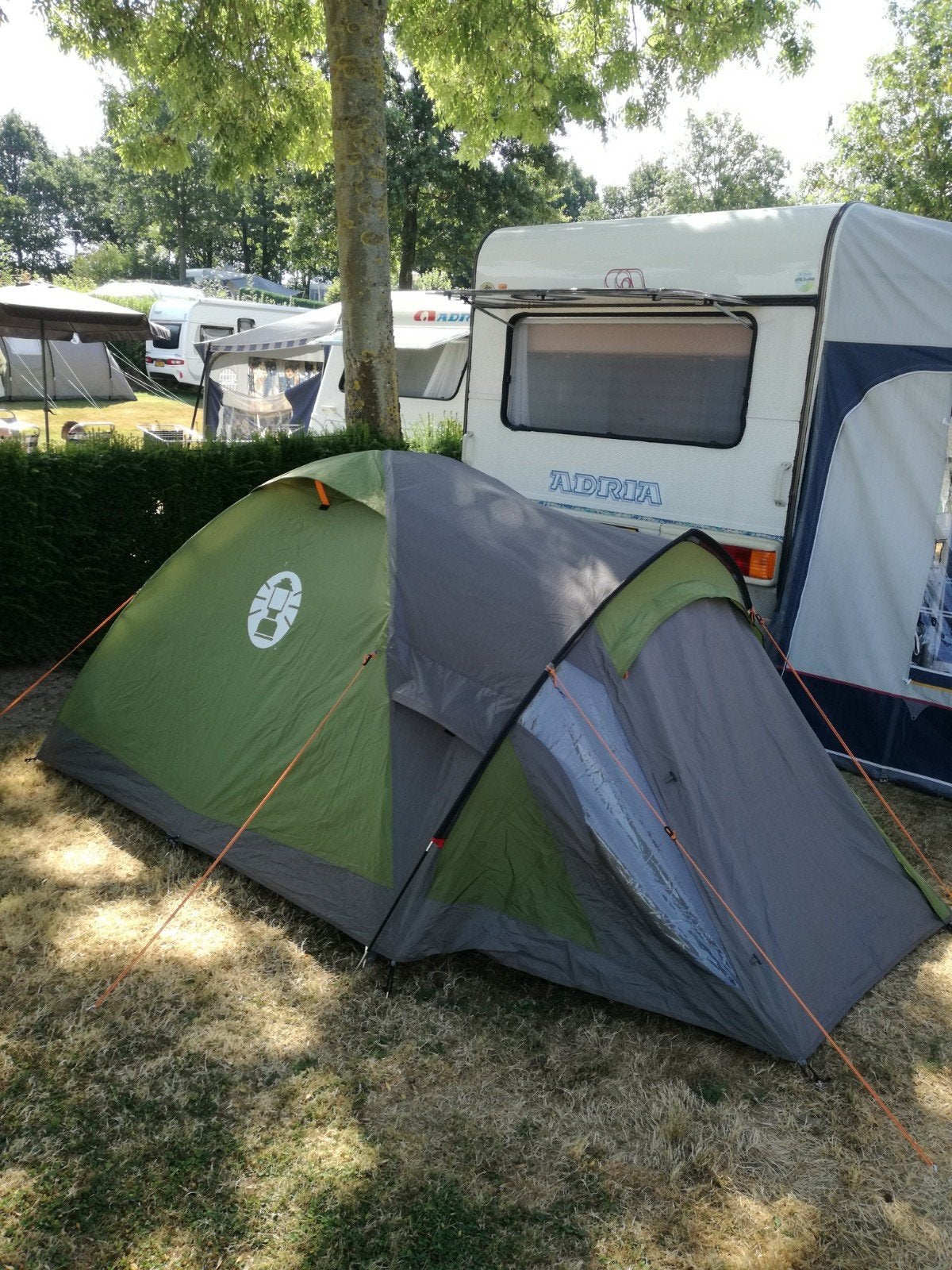 Coleman Darwin 3 Koepeltent - Zo goed als nieuw, Ophalen, Zo goed als nieuw, Tot en met 3