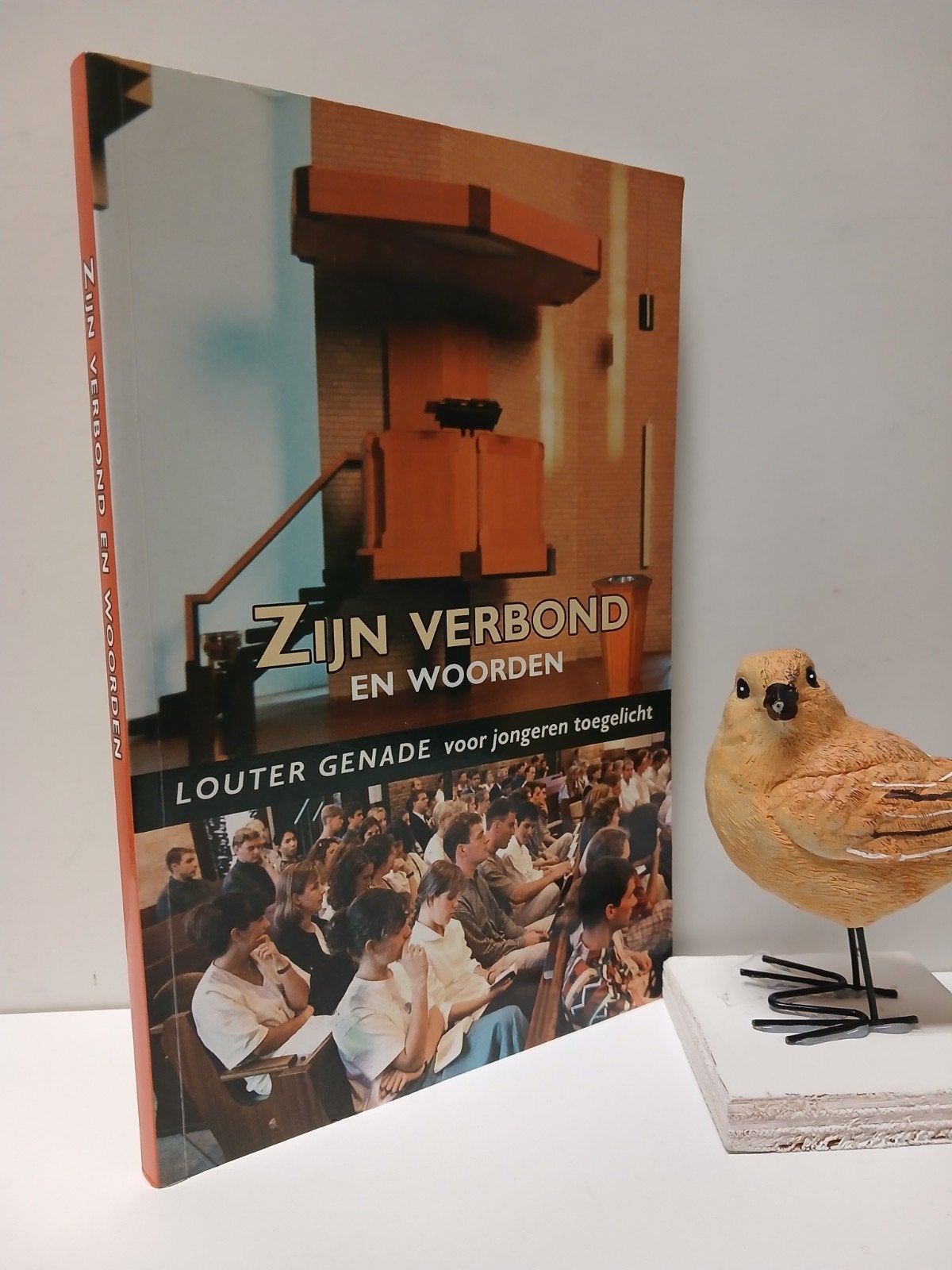 Dep. Vertegenw. en voorl. van de Ger. Gem; Zijn verbond en, Ophalen of Verzenden, Gelezen, Christendom | Protestants