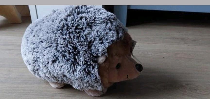 Eddie Egel knuffel. Nieuw, Kinderen en Baby's, Speelgoed | Knuffels en Pluche, Ophalen of Verzenden, Nieuw, Overige typen