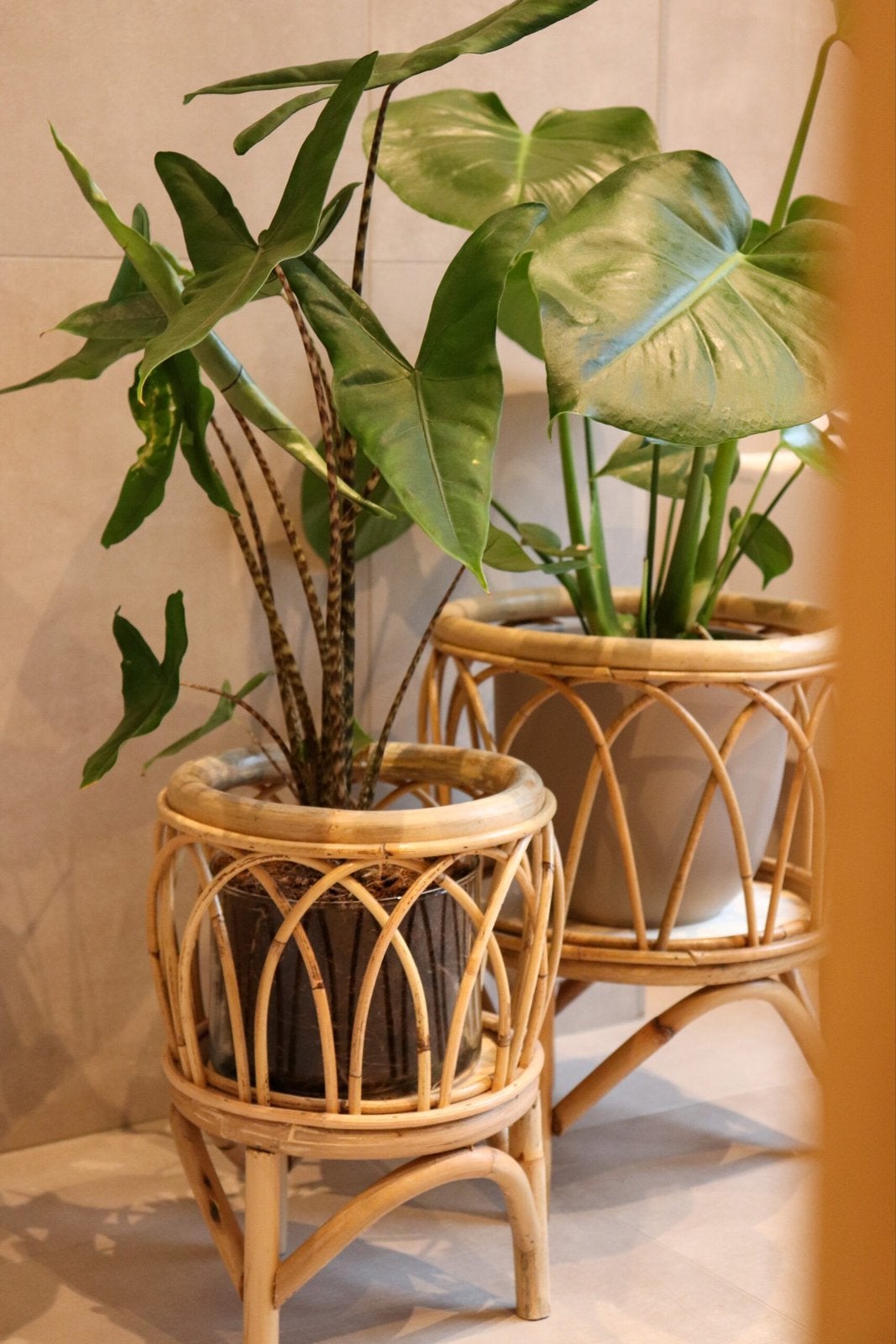 Set van 2 rotan plantenstandaards, Huis en Inrichting, Woonaccessoires | Overige, Ophalen, Boho, Nieuw, Natuurlijk materiaal