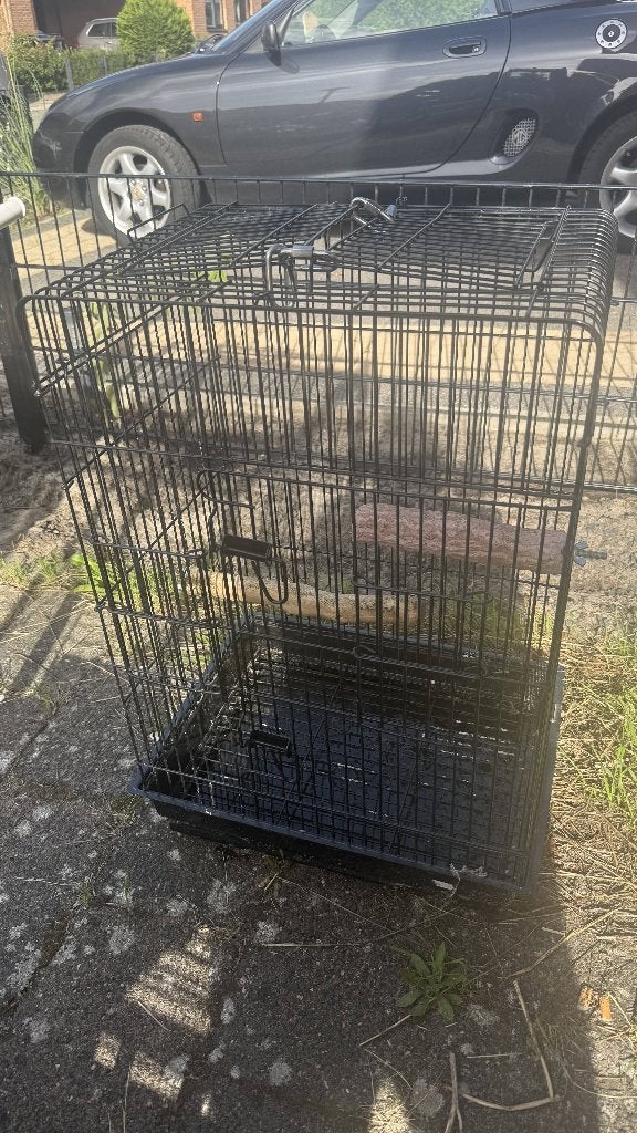 Mooie vogelkooi met accessoires en gratis speeltje, Ophalen, Zo goed als nieuw, Metaal, Vogelkooi