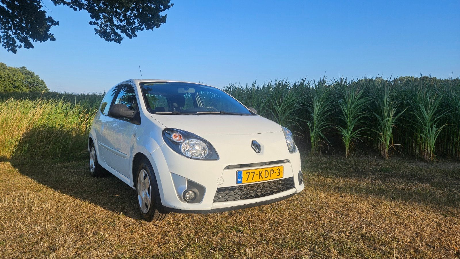 Renault Twingo 1.2 16V automaat 2009 Wit, 31 €/maand, 4 cilinders, 4 stoelen, Wit