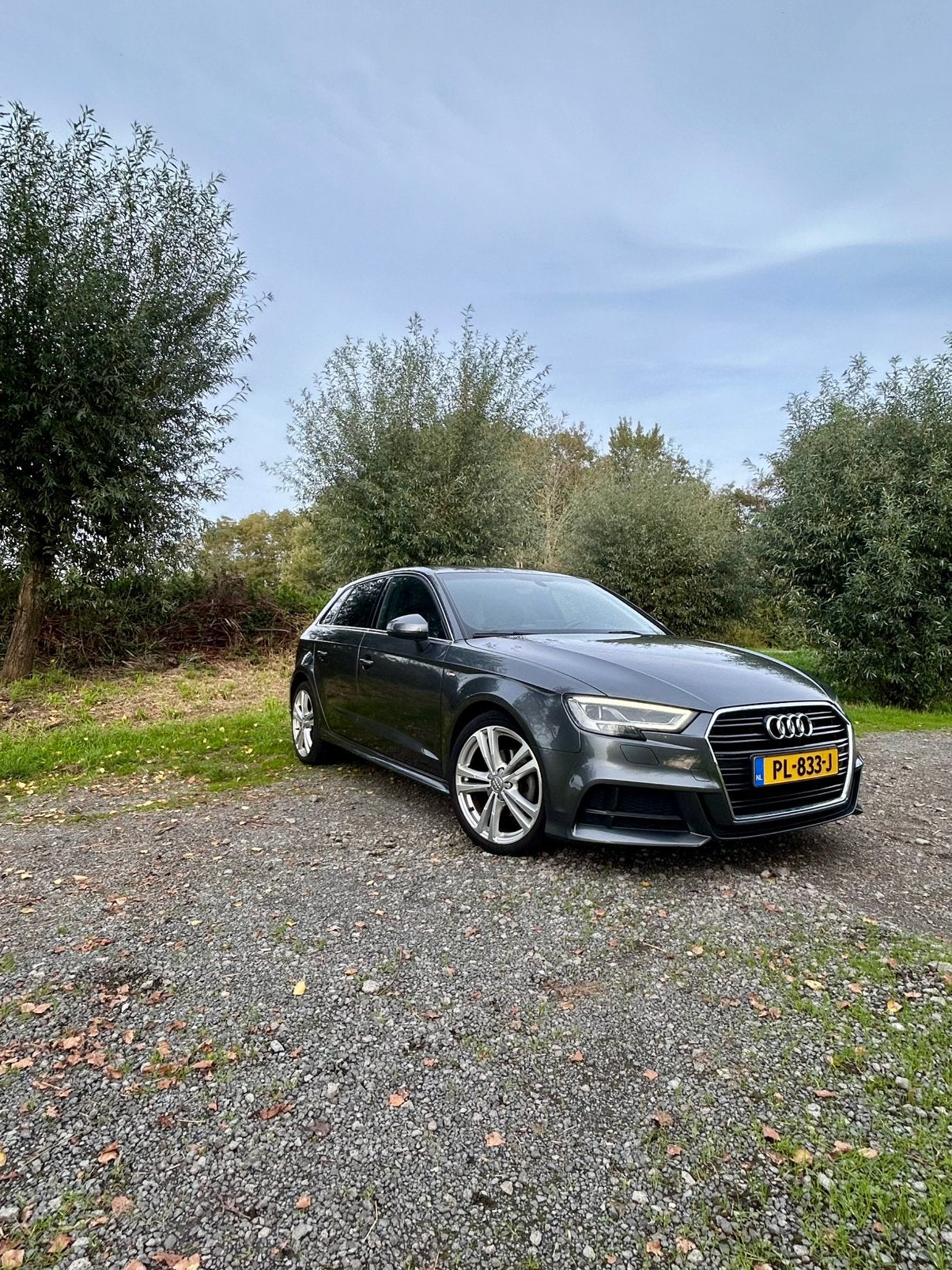 Audi A3 1.0 Tfsi 116pk 2017 Grijs, Auto's, 620 kg, Origineel Nederlands, Handgeschakeld, 115 pk