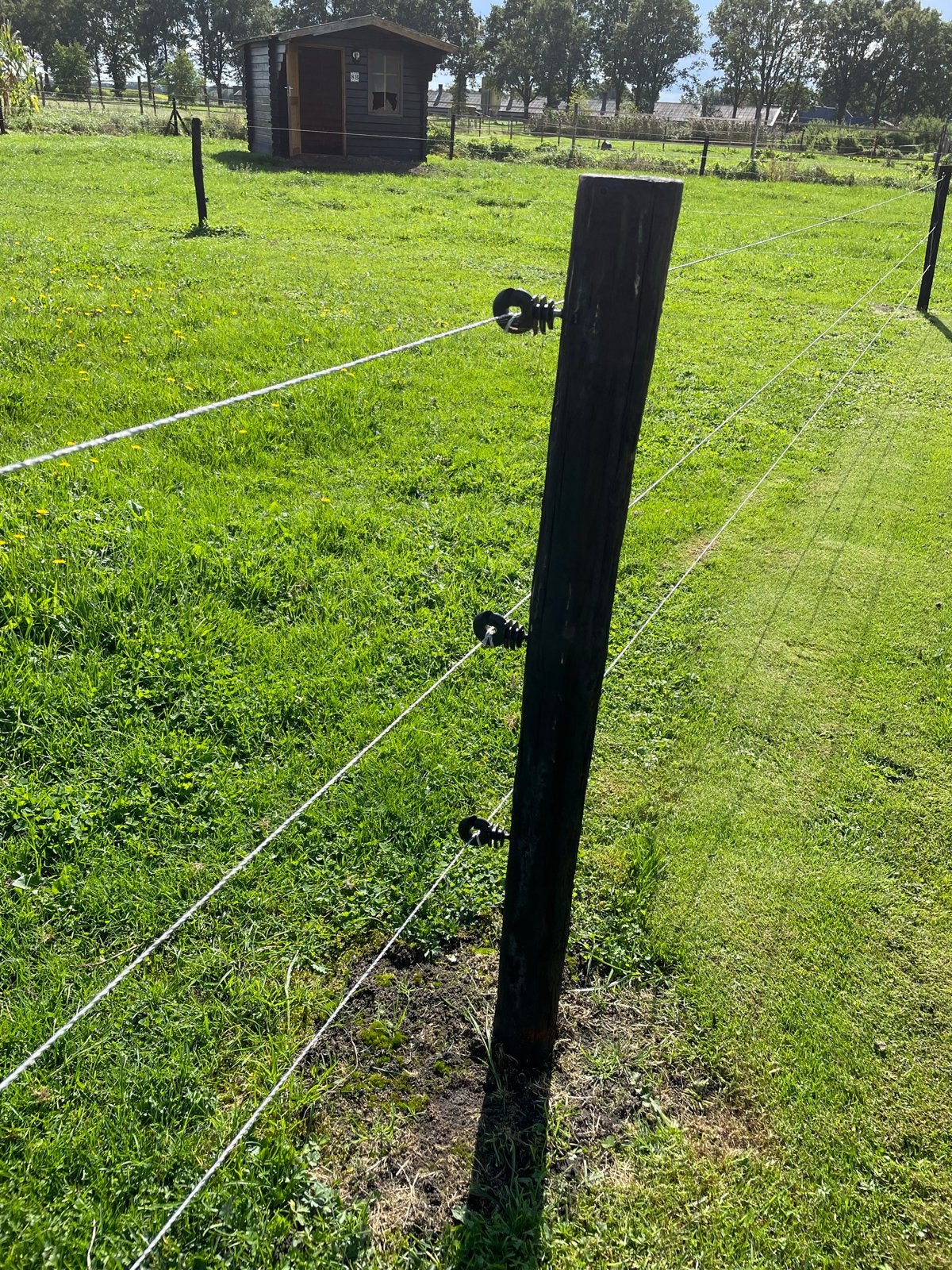 Complete gebruikte afrastering met 80 palen en toebehoren, Ophalen, Met poort, Gebruikt, Overige typen