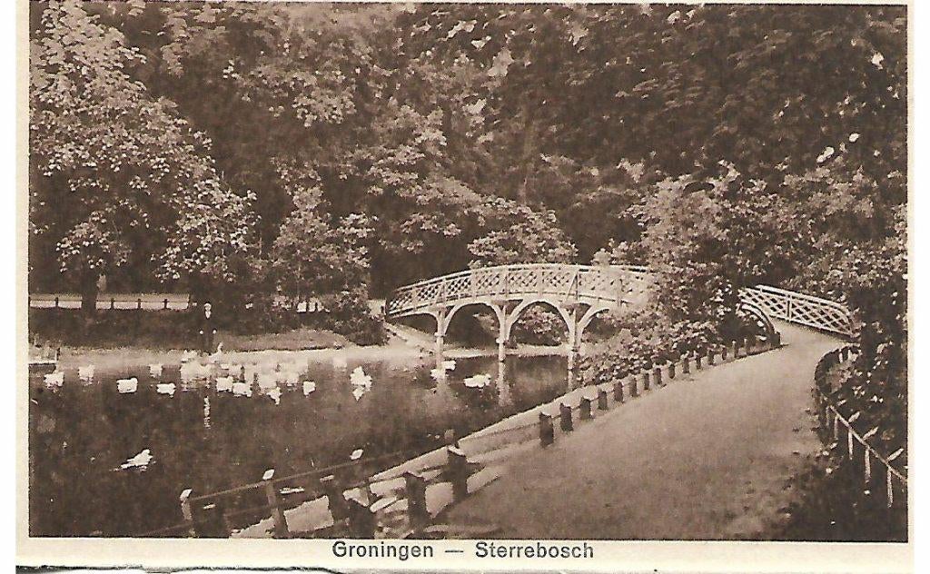 Groningen- -Sterrebosch., Verzenden, 1940 tot 1960, Ongelopen, Groningen