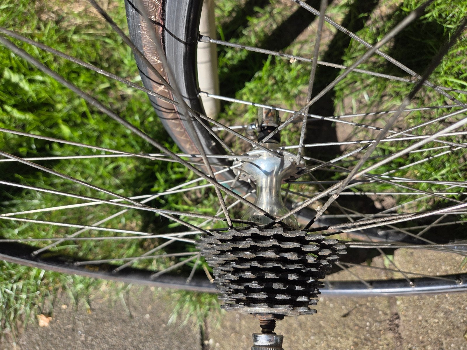 wielen campagnolo 8 speed, Fietsen en Brommers, Ophalen of Verzenden, Wiel, Campagnolo