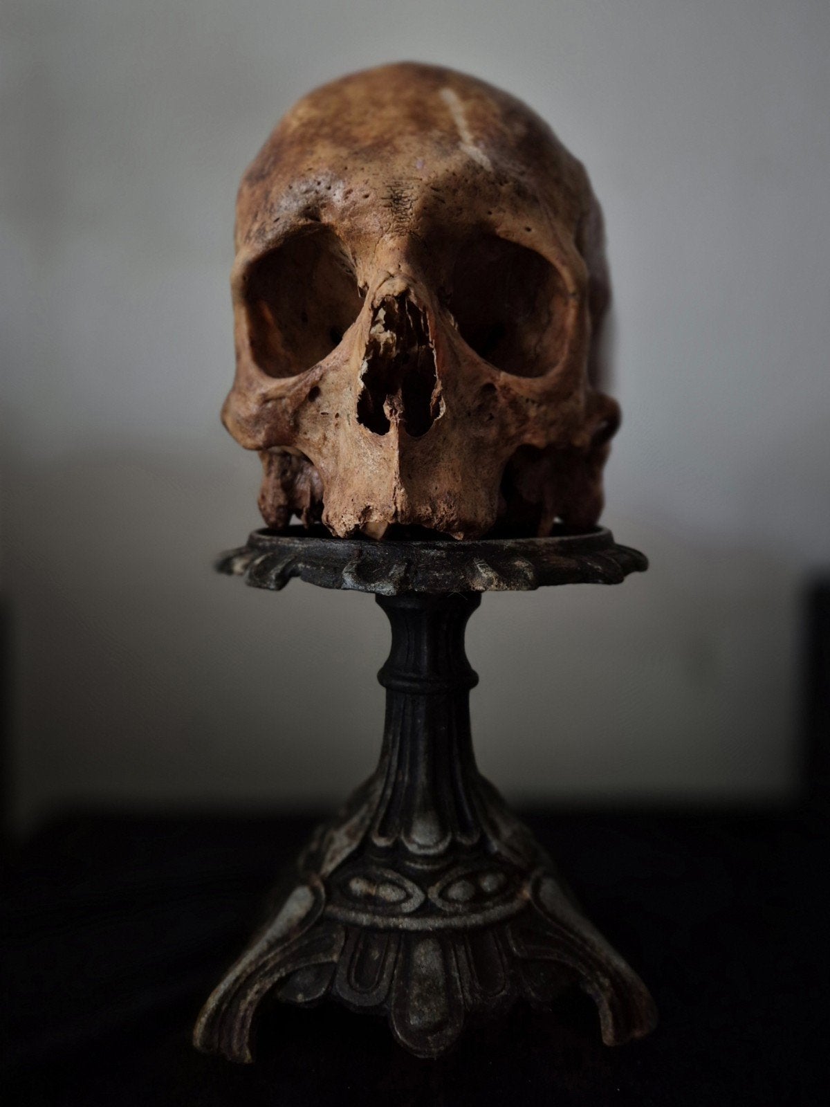 Gietijzeren Gotische (schedel) standaard, Antiek en Kunst, Curiosa en Brocante, Ophalen of Verzenden