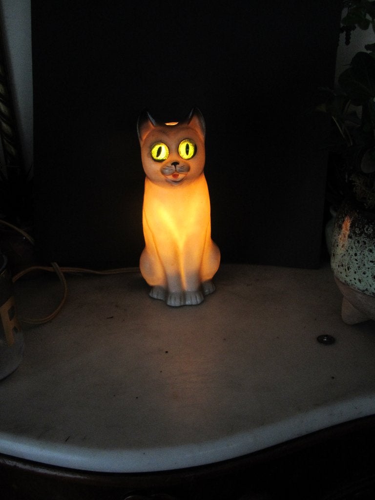 Lampje  Poes met verlichting, Verzenden, Zo goed als nieuw, Glas, Minder dan 50 cm