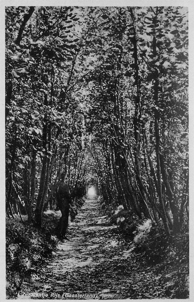 379-199-005 Rijs, Verzenden, Voor 1920, Friesland