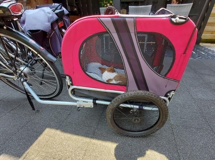 Hondenfietskar, Dieren en Toebehoren, Honden-accessoires, Ophalen, Zo goed als nieuw