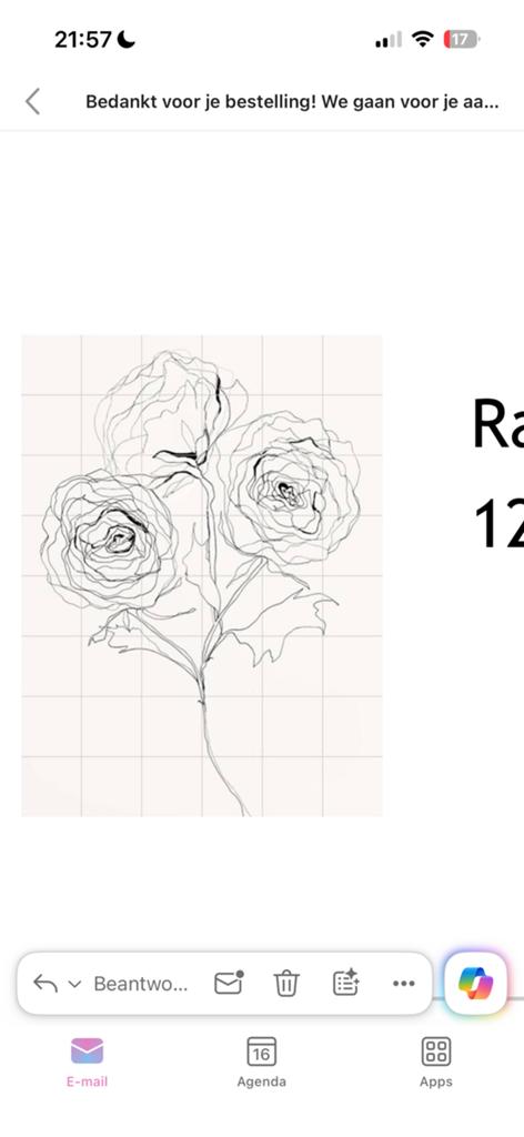 Ixzi Ranunculus Study - Kunstprint 120 x 160 cm, Ophalen of Verzenden