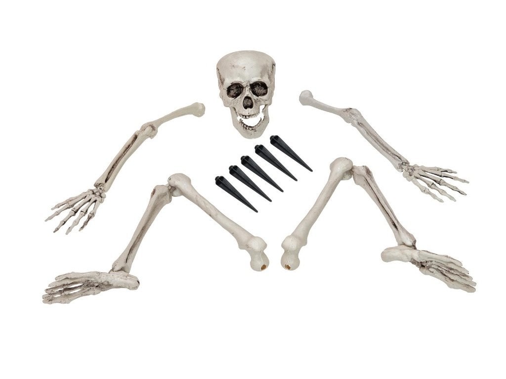 Europalms Halloween Skeleton losse botten set, Halloween of Griezel, ., Nieuw, Ophalen of Verzenden