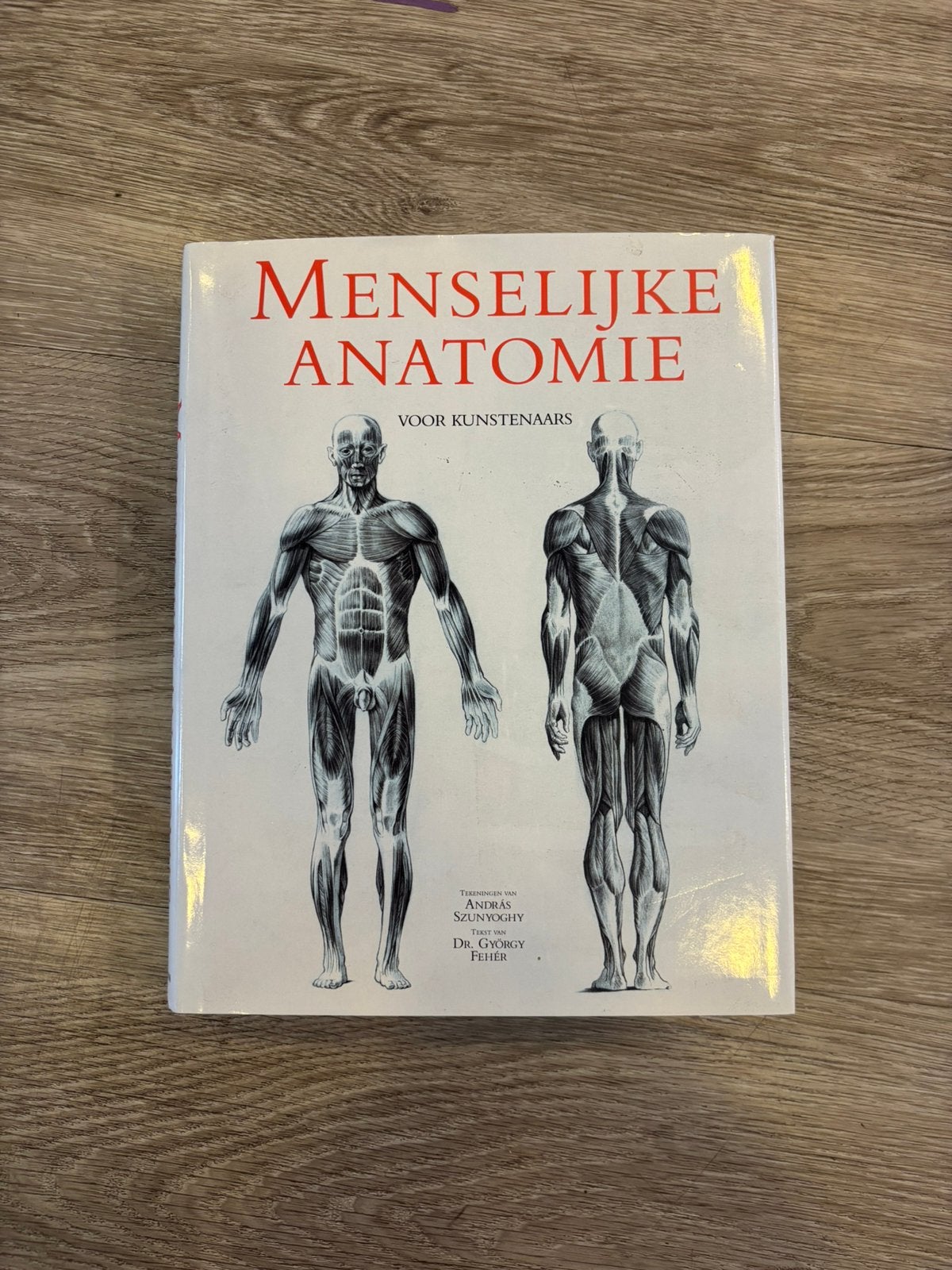 Menselijke Anatomie | Hardcover | ISBN 9783833120398, Ophalen of Verzenden, Beta, Gelezen, HBO