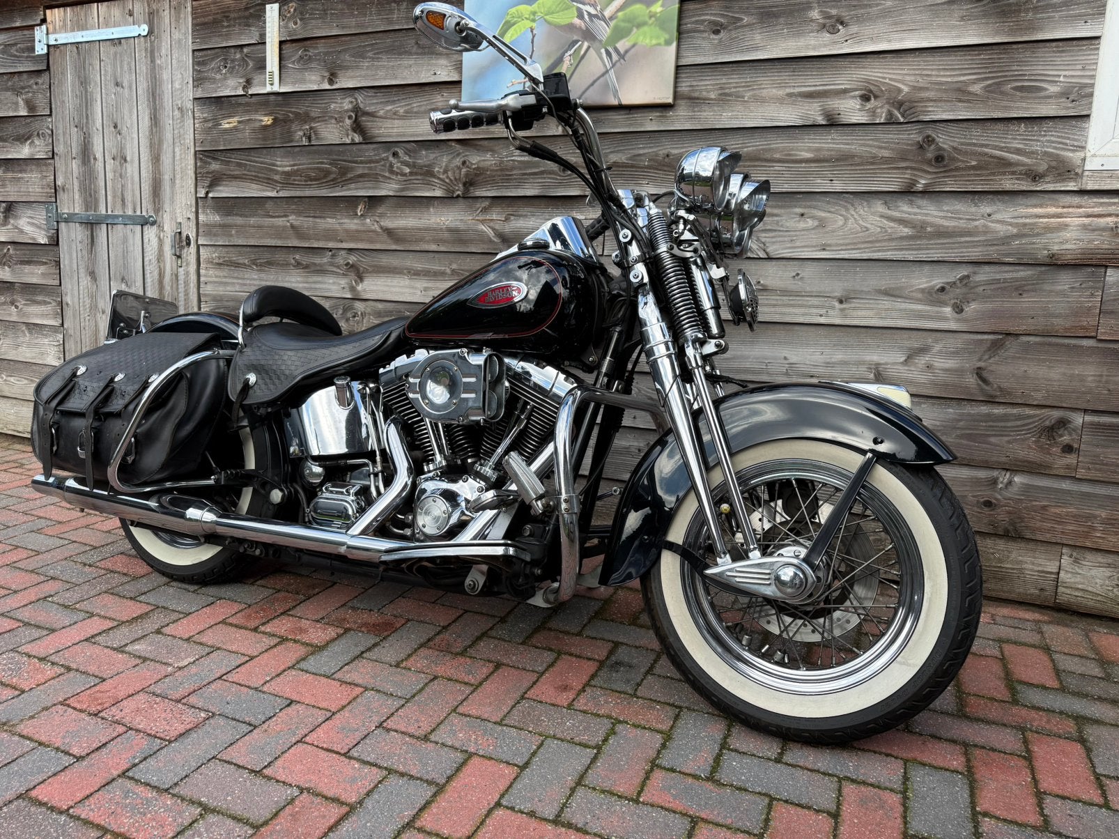 Zeer nette harley flsts softail springer, Chopper, Bedrijf