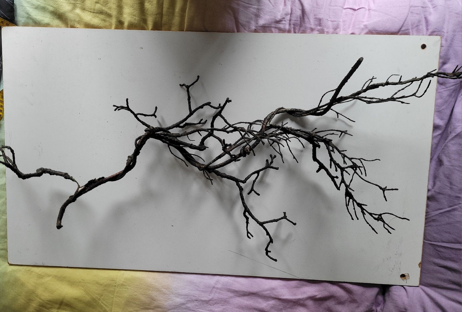 Decoratietak van +/- 90cm - Natuurlijke sfeer, Ophalen, Gebruikt, Landelijk, Natuurlijk materiaal