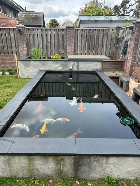 Complete Koivijver met 14 koi karpers, Tuin en Terras, Vijver-toebehoren, Ophalen, Zo goed als nieuw, Vijverfilter