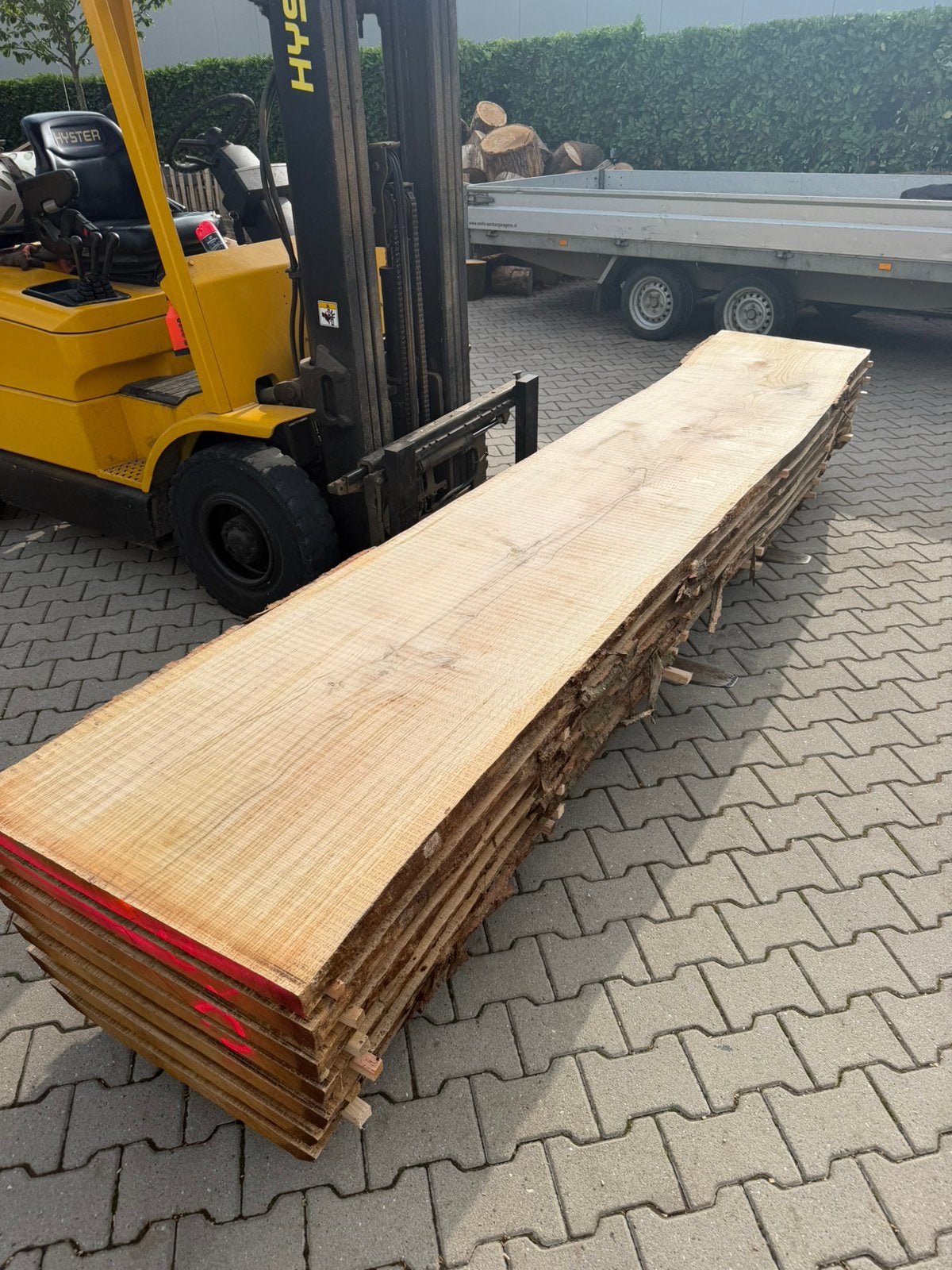 Zeer mooie eiken boomstambladen 365x65-70x4 cm, Ophalen of Verzenden, 250 cm of meer, Planken