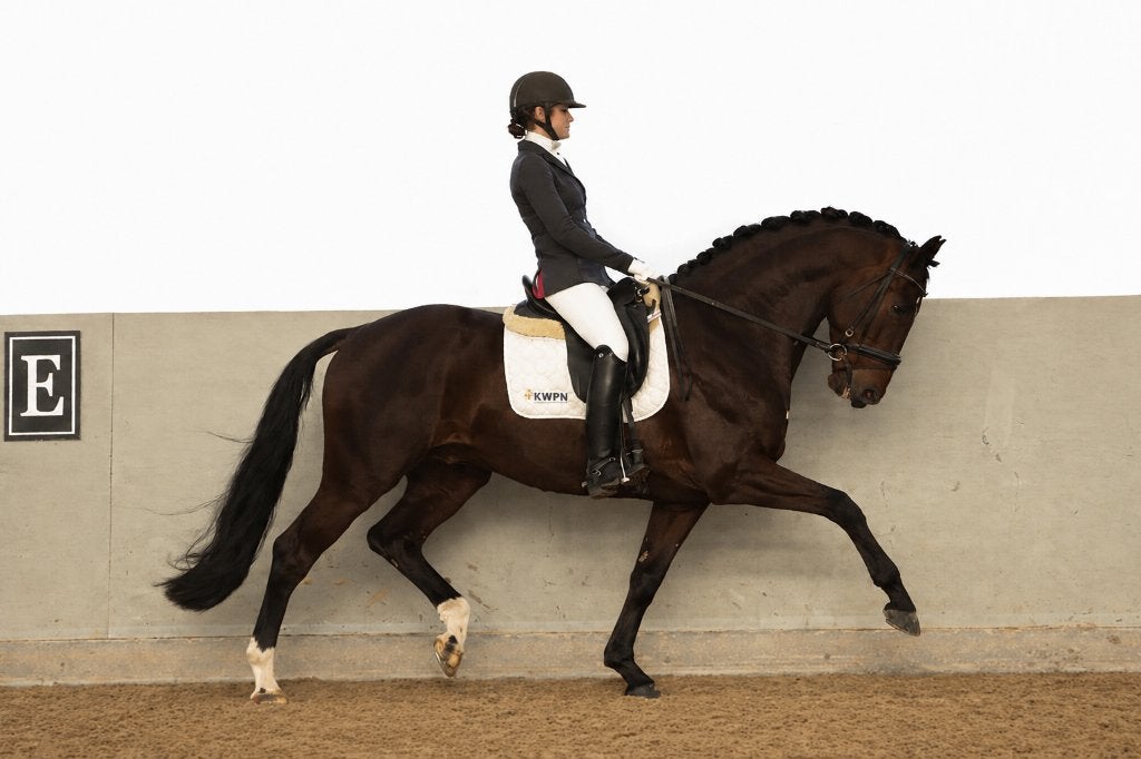 Te koop  4 JARIGE RUIN EN 3 JARIGE MERRIE, Dieren en Toebehoren, Paarden, Merrie, Met stamboom, Dressuurpaard, 3 tot 6 jaar