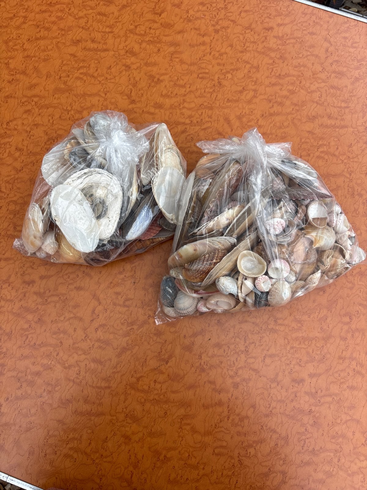 Grote zakken met diverse schelpen voor decoratie, Ophalen of Verzenden, Gebruikt