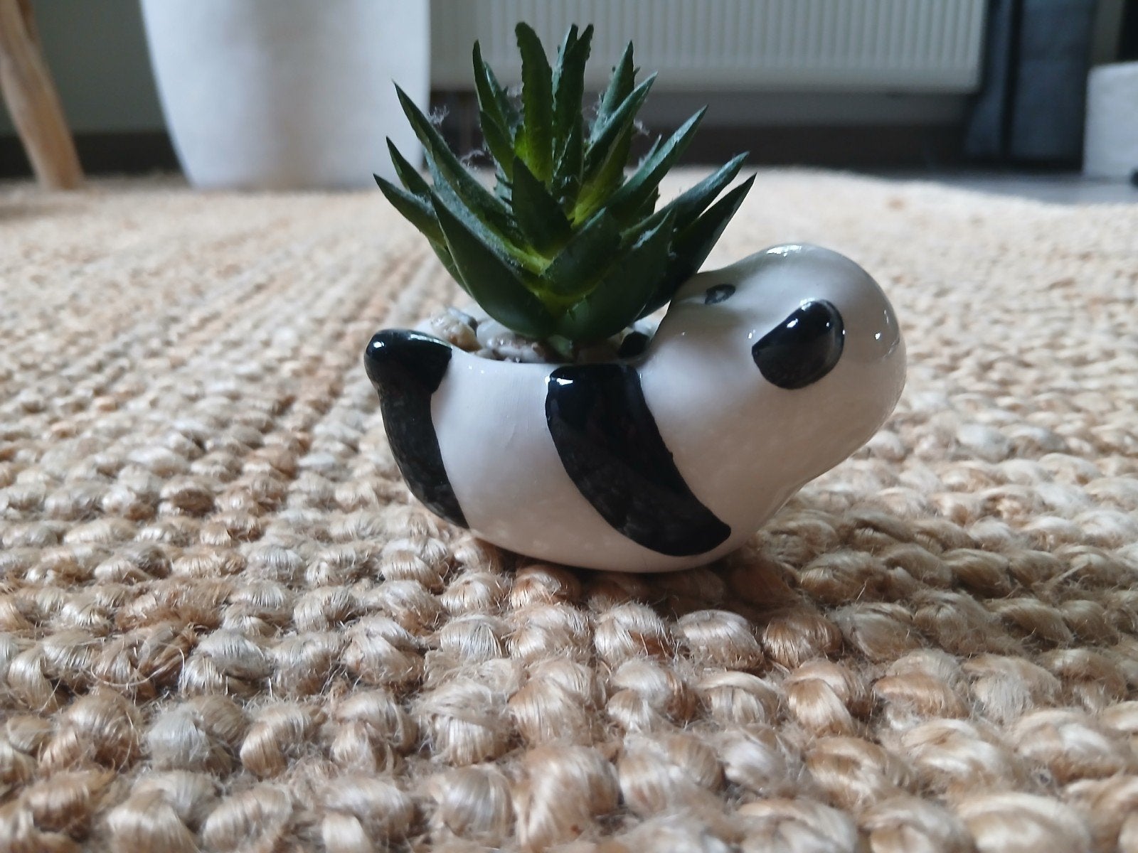 Plantje in panda, Steen, Gebruikt, Rond, Binnen