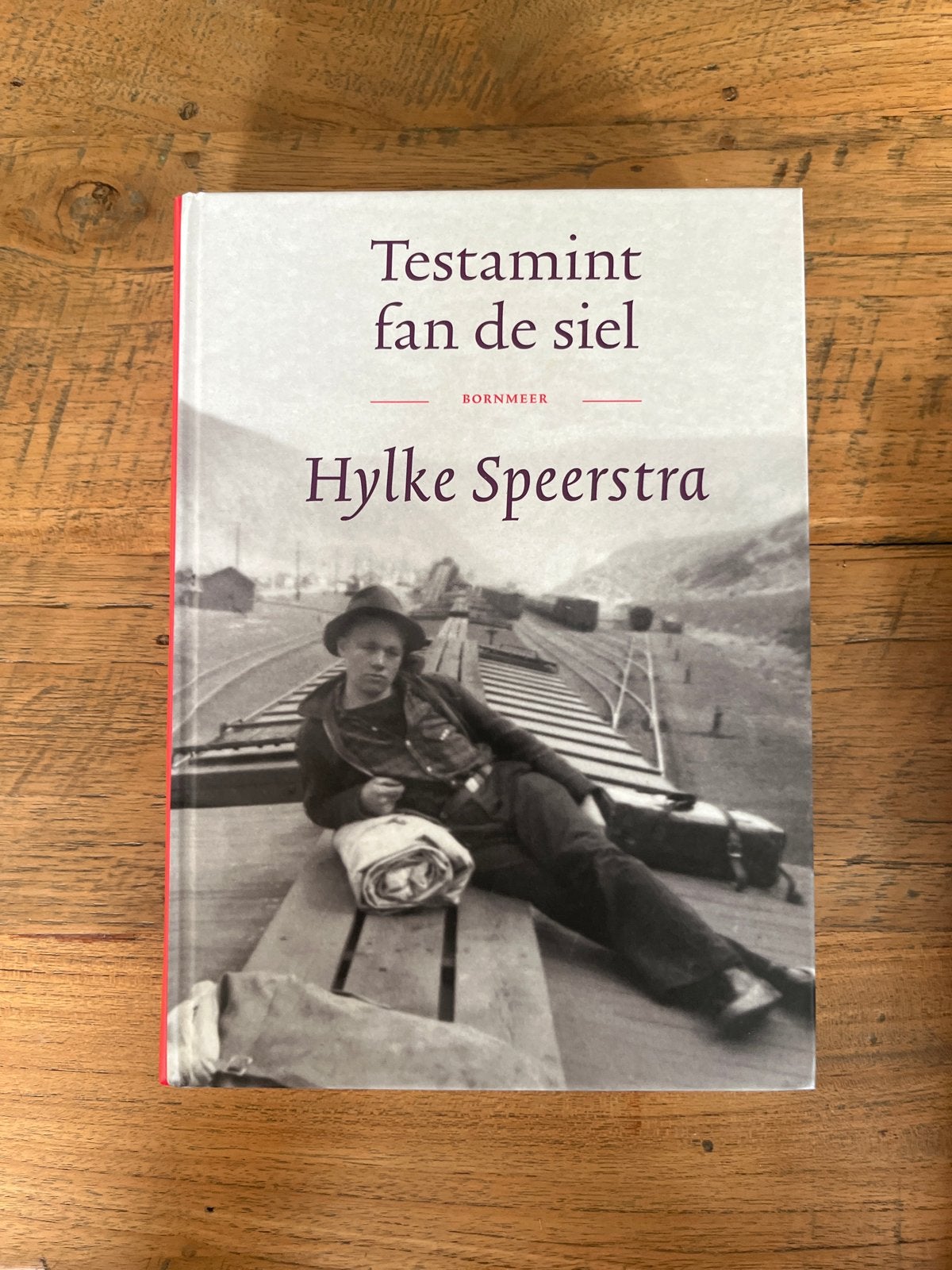Testamint fan de siel - Hylke Speerstra (Bornmeer), Boeken, Ophalen of Verzenden, Zo goed als nieuw