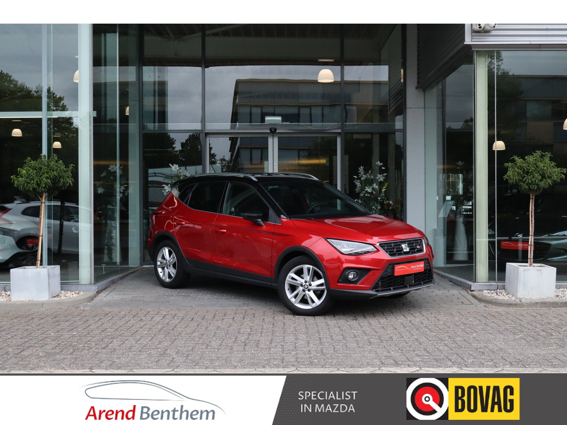 SEAT Arona 1.0 TSI FR Business Intense Plus Automaat / Virtu, Gebruikt, 116 pk, 49 €/maand, Bedrijf