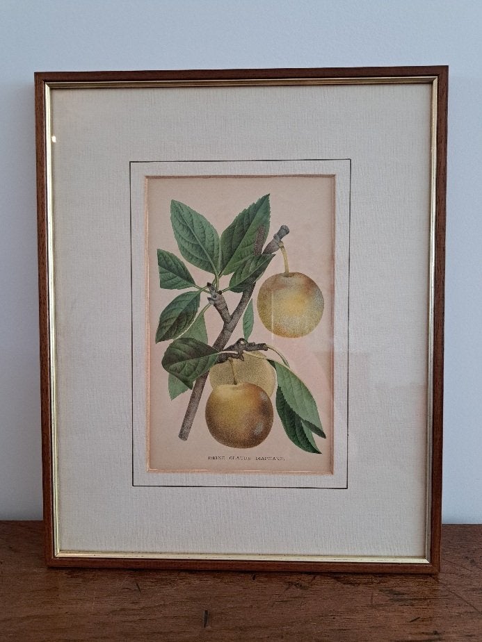 Chromolithografieën van Pierre de Pannemaeker, Ophalen, Achter glas, Realistisch, Overige technieken