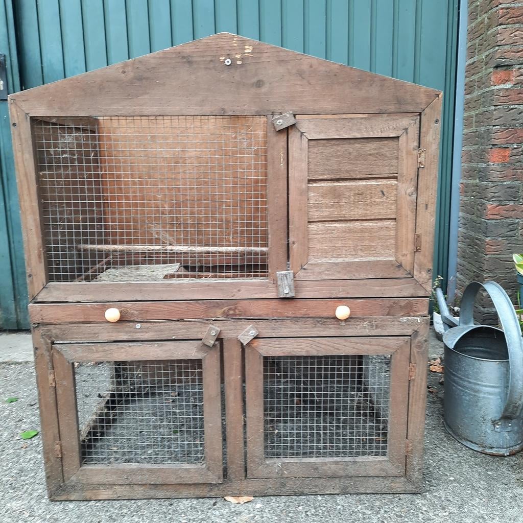 Te koop kippen/kuikenhok, Dieren en Toebehoren, Vrouwelijk, Kip