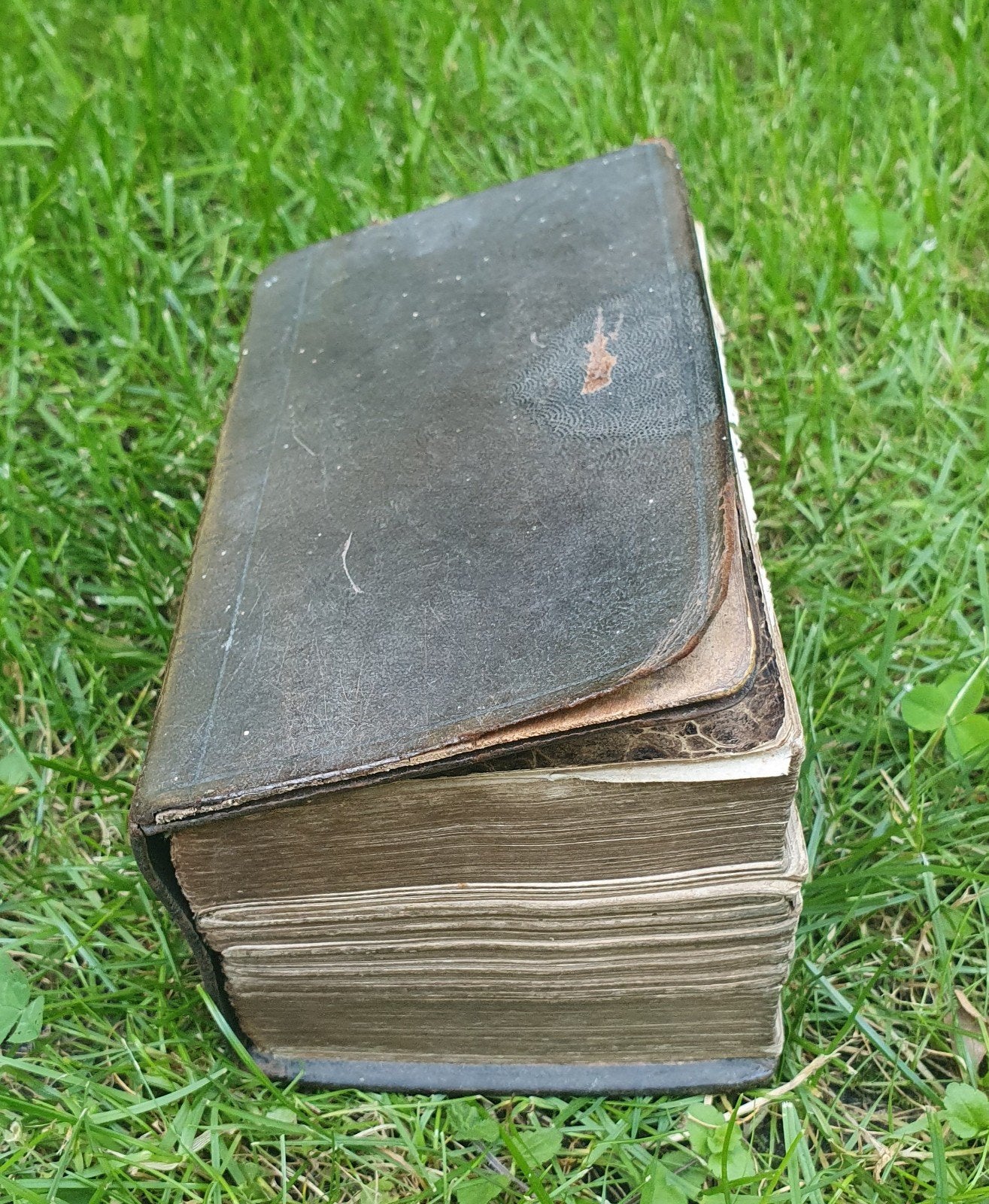 Antiek Bijbelboek: Psalmen, Gezangen en Nieuw Testament, Ophalen of Verzenden, Diverse (Staten Generaal, H. Brandt, J. de Groot e.a.)