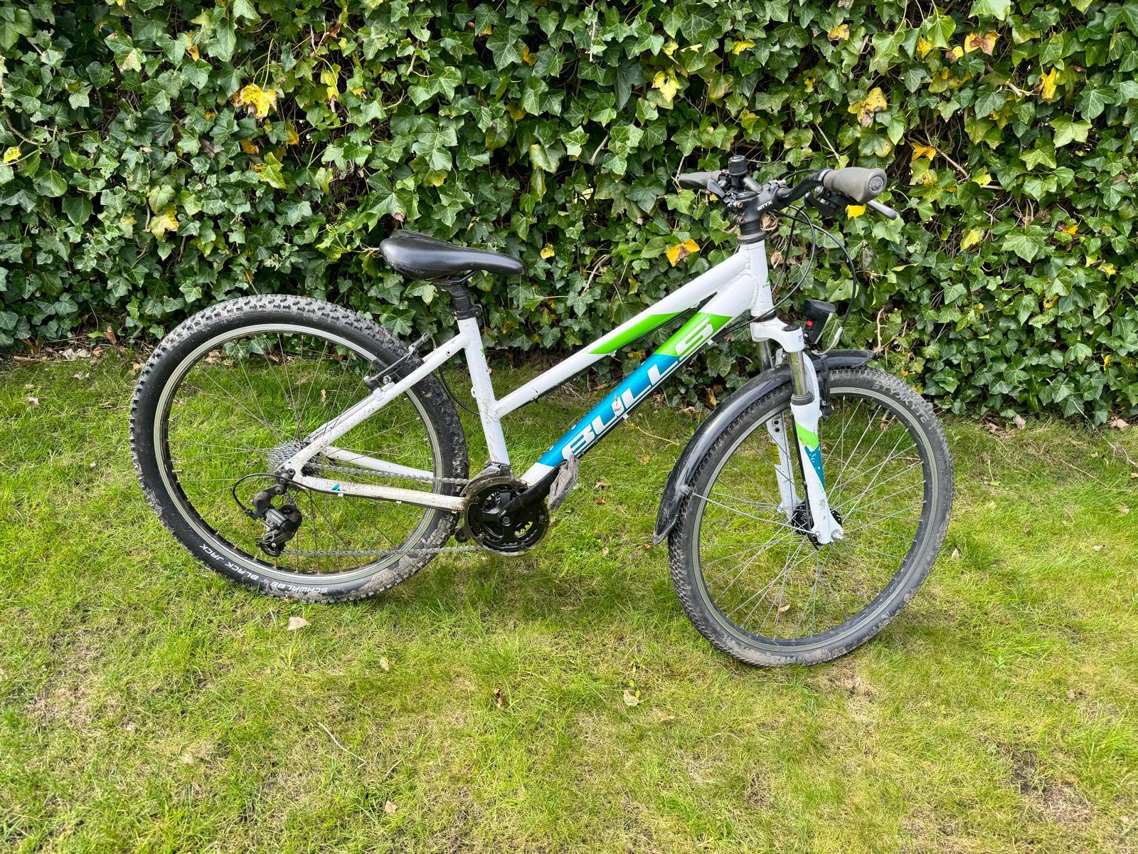 Bulls Mountainbike 26 inch, Fietsen en Brommers, Fietsen | Mountainbikes en ATB, Gebruikt, Hardtail, 45 tot 49 cm, Ophalen