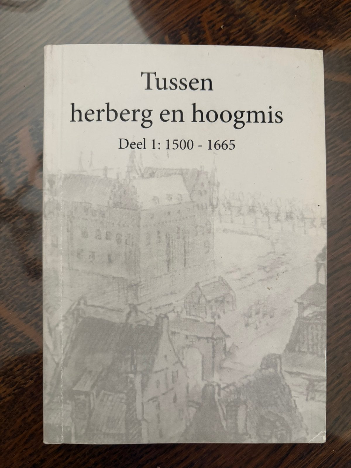 Boek: Tussen hetberg en hoognis een dorpssamenleving Brabant, Boeken, Ophalen of Verzenden, Gelezen