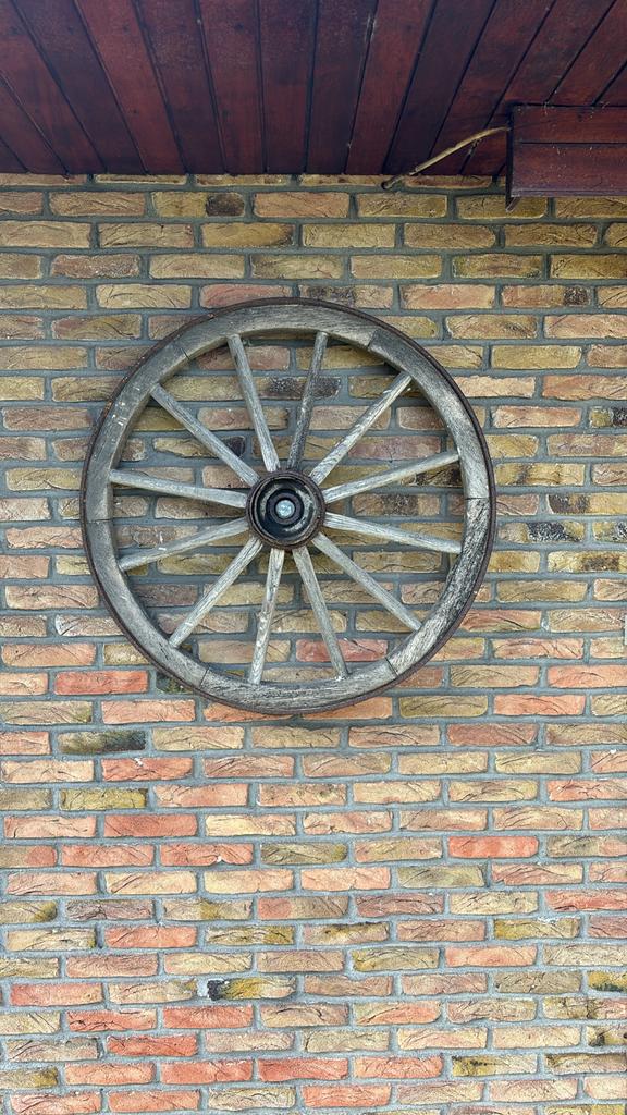 Oud decoratief koetswiel Ø80 cm - Hout met ijzeren band, Ophalen