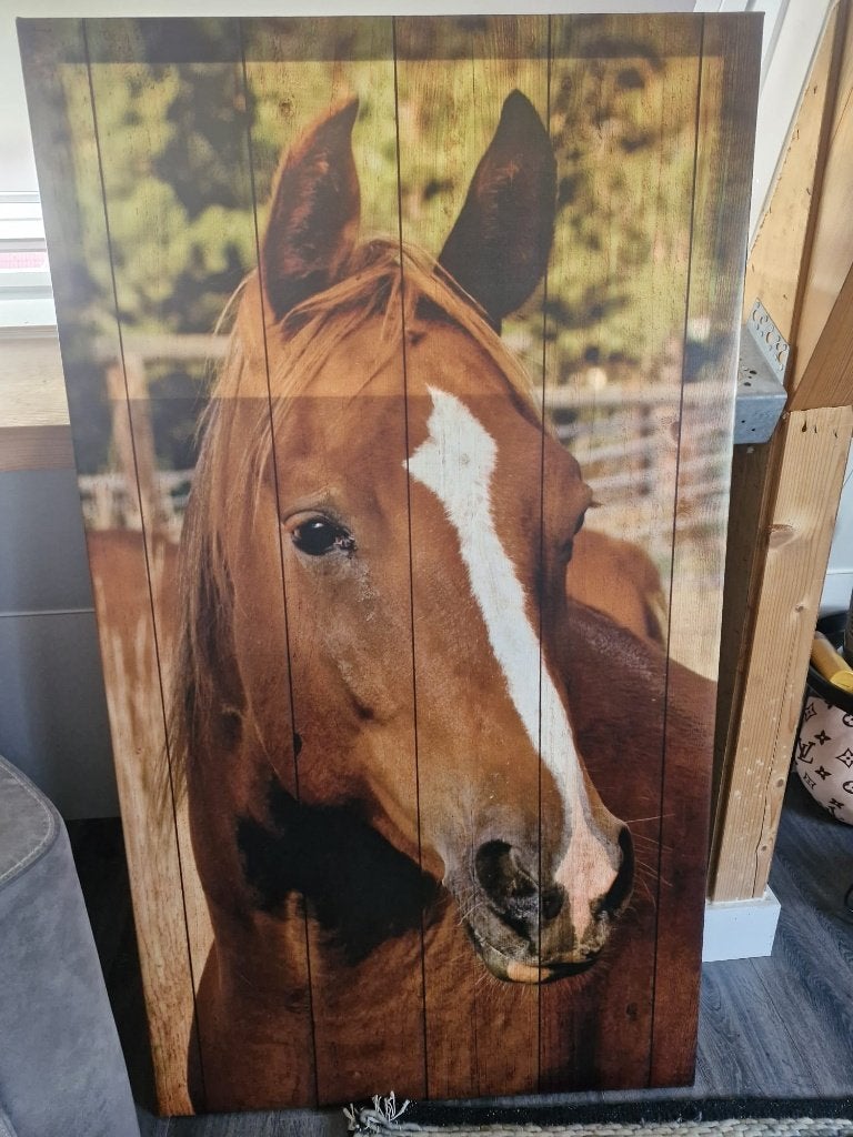 Canvas schilderij Paard, Ophalen, Zo goed als nieuw, 75 tot 100 cm, Schilderij