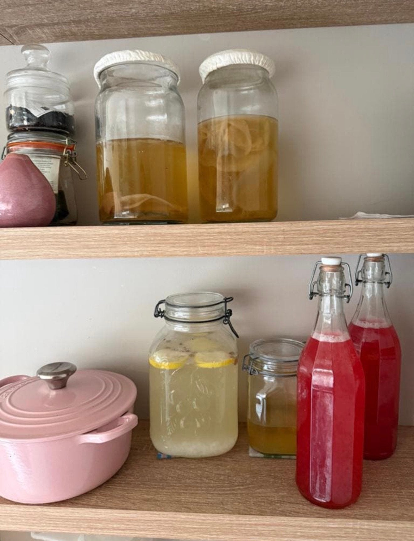 Kombucha scoby, melk kefir, water kefir, Ophalen of Verzenden
